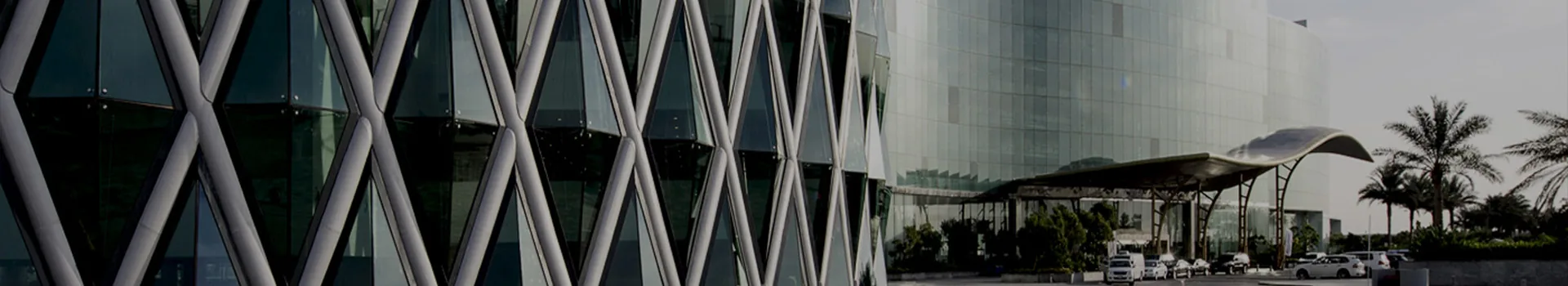 الشروط والأحكام الخاصة بـ Diwan Consulting