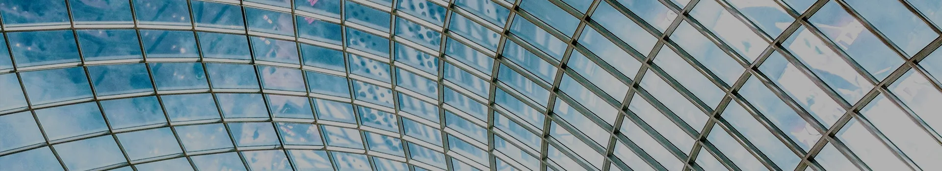 التوسع والتحوّل – ديوان للاستشارات
